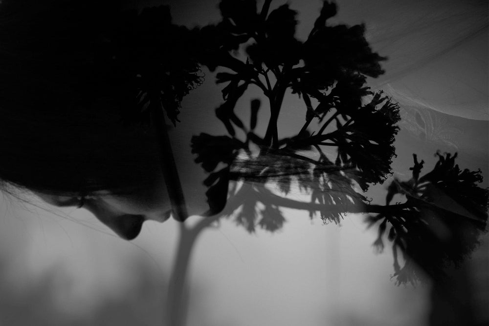 Fragments of dream (II)