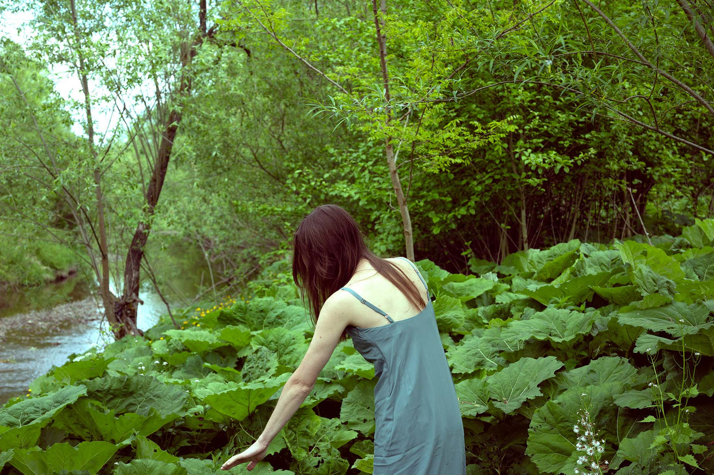 Hidden Place